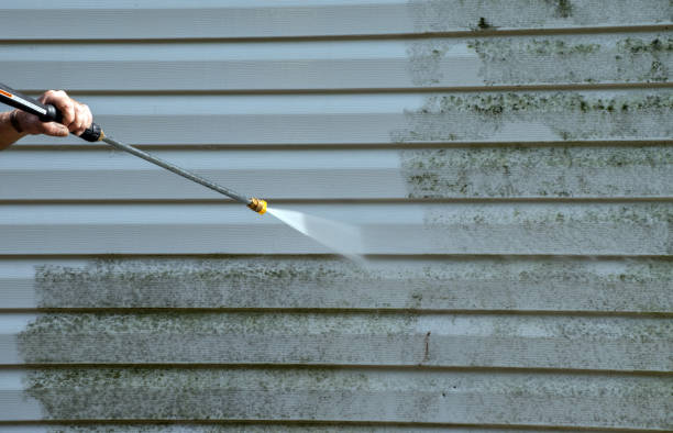 Best Best Pressure Washing Companies  in Lowell, MI