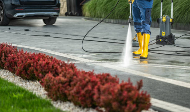 Best Local Pressure Washing Services  in Lowell, MI