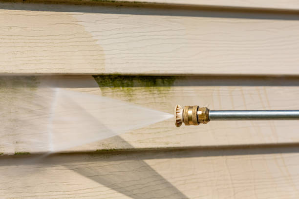 Best Pressure Washing Near Me  in Lowell, MI